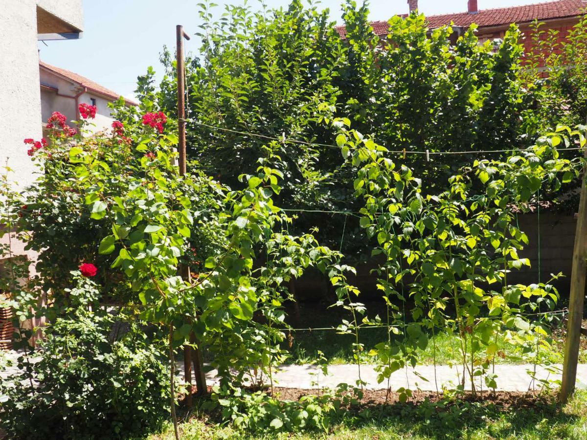 Guest House Stefanovic Vranje Exteriör bild